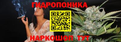 индика Кинель